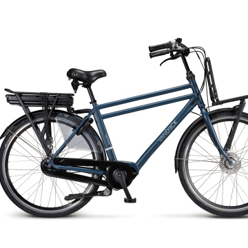 VanDijck Adonis 56cm